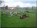 The Daffodil Way leaves Dymock churchyard