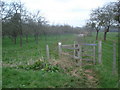 The Daffodil Way near The Old Rock