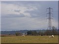 Pasture and pylon, Vernham Dean