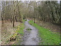 Footpath into Penn Wood