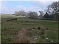 SH8751 : Rough grazing land to the north of Pentrefoelas by Eirian Evans