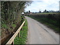 The Daffodil Way on the lane at Fishpool