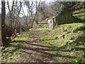 Ruin of New Mill on Brandy Brook near Roch