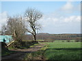 Farm track at Hebron Hill farm