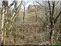 Rocky outcrop above Rhyndaston Quarry