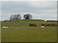 Covered reservoir at Hewer Hill