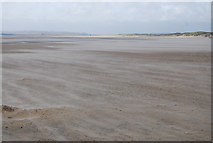 TQ9518 : Camber Sands when the tide goes out by N Chadwick