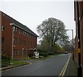 Rugby-Chestnut Field