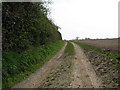 Farmtrack off Stalland Lane