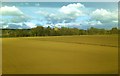 Fields near Dalswinton, with view of Dalswinton House