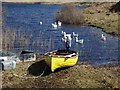 Geese on Loch Dubh