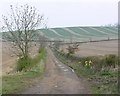 Track to Debdale Lodge