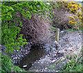 Stream, Ballymacormick Road, Bangor