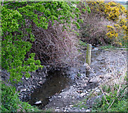 J5382 : Stream, Ballymacormick Road, Bangor by Rossographer