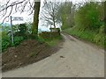 The road to Wotton under Edge, Ozleworth Bottom