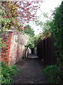 The Church Path, Sutton