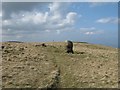 D3310 : Standing stone on Ballygilbert hill by Philip