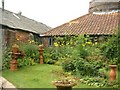 A garden at the pottery