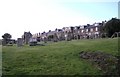 Halliburton Cemetery for the old Galashiels 5th Ward