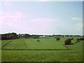 Fields at Herstmonceux