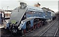 Sir Nigel Gresley at Salisbury