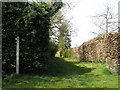 Footpath from Severals Road to old railway embankment