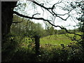 Pretty farmland to the east of Bepton Road