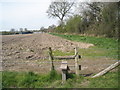 Stile at Minsted Farm