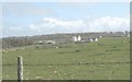 Penrhynhalen Farmhouse and Llwyn-ysgau cottage from Capel Beulah