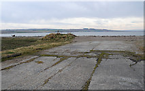 NH6467 : Slipway on Alness Point by Peter Gamble