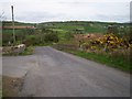 Jockeys Brae near Jerrettspass