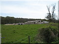 Farming and Stable Supplies in Ingrams Lane.