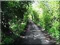 Leafy lane to Whitehall farm