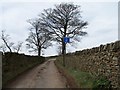 Country Lane, Holdworth