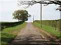 Bookham Road from Hundred Pound Wood