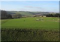 Wiltshire & the remains of the cathedral