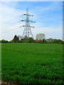 Electricity Pylon near Paplands Farm