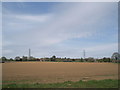 Looking  north west from footpath between Terwick Mill and Rother Lane