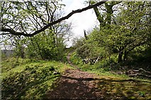 SO7637 : Path over the Iron Age Defensive Bank by Bob Embleton