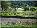 Golf course in Llanrhystud: the challenging 17th hole