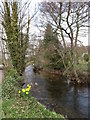 Wreigh Burn, Thropton