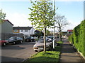 Looking down Woofferton Road towards Camcross Close