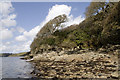 Fal Estuary, St Just in Roseland