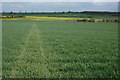 Footpath to Wadborough