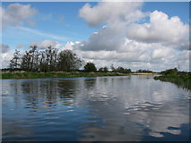 SU1510 : River Avon above Ibsley by Barry Deakin
