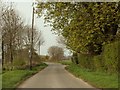 Vinesse Road, heading towards Little Horkesley