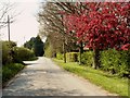 Victoria Road at Newney Green