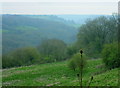 2008 : Bottom end of Horsecombe Vale