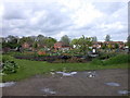 Allotments at the back of St Bedes Gardens