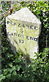 Milestone in the nettles